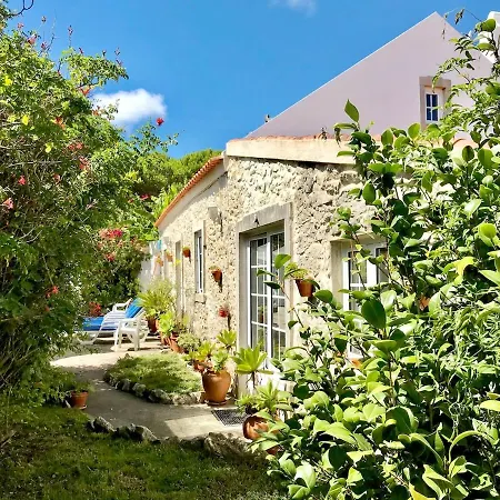 Secret Garden - Romantic With Patio And Pool - Privacy 펜션